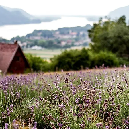 Natura Hill - Butik Szobak Es Etterem 4* Zebegény